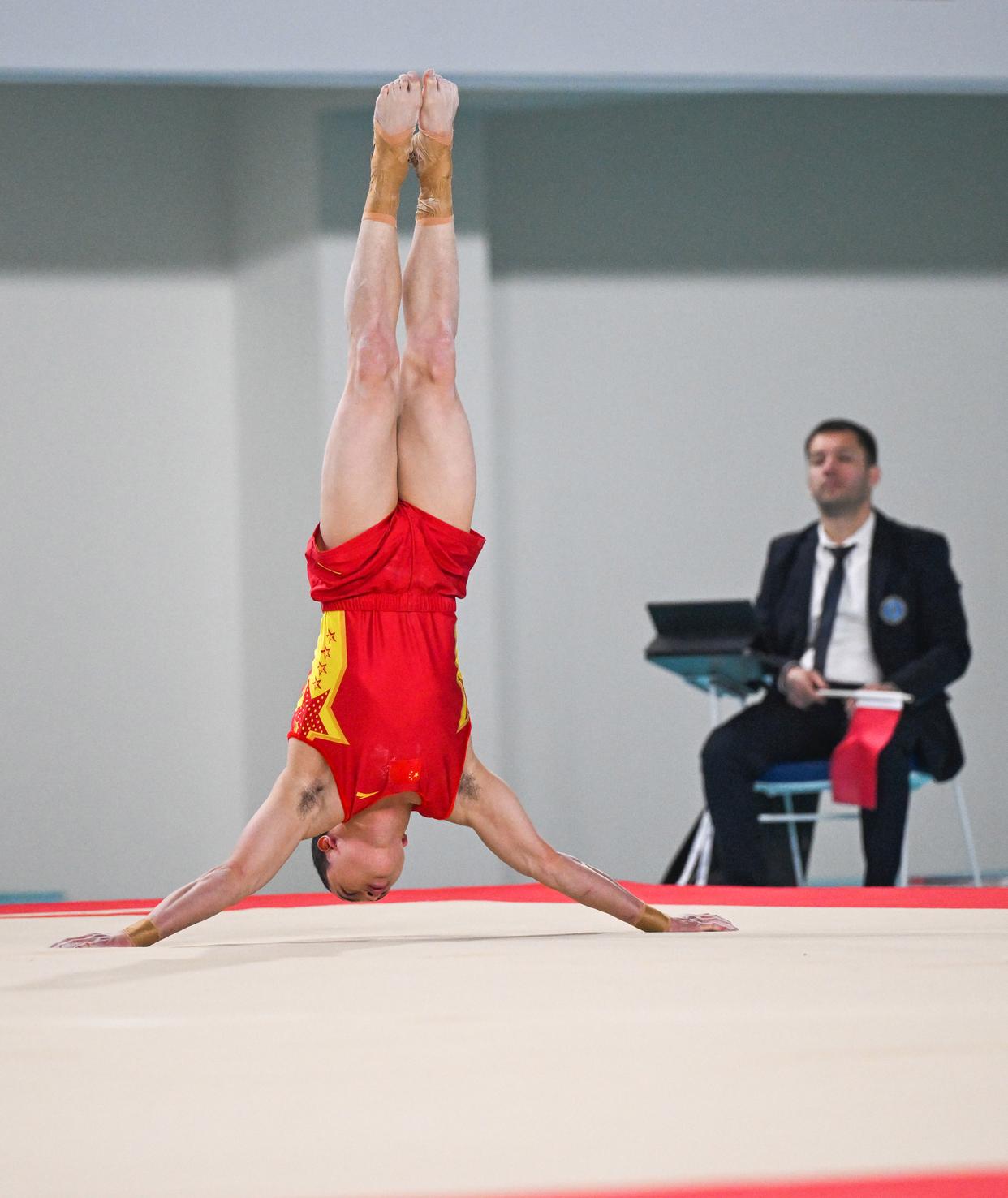 体操比赛男子项目意大利选手登顶的简单介绍