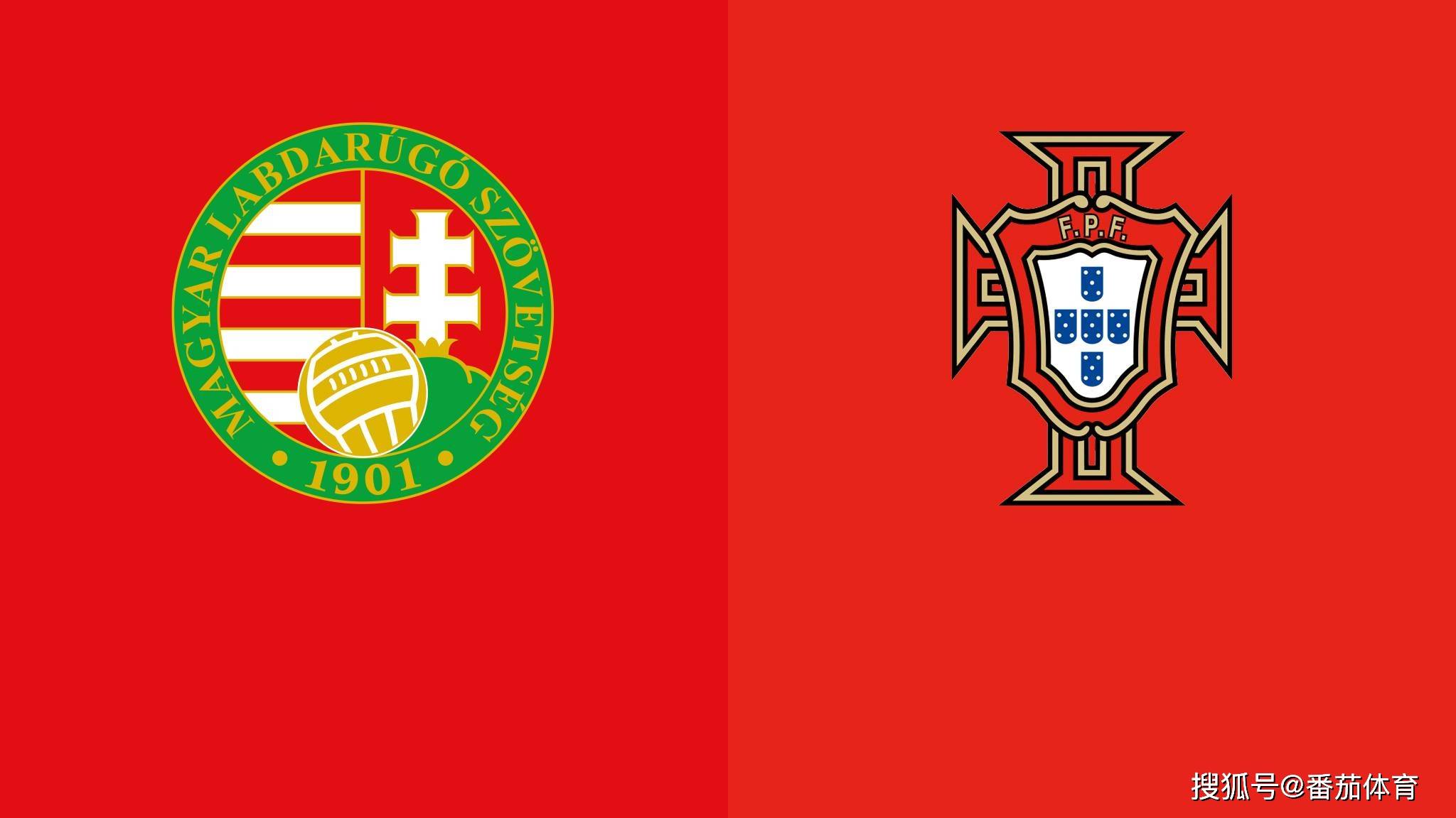 匈牙利选手一路高歌猛进，冲向巅峰