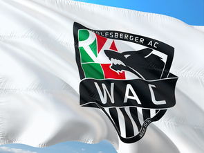 杏彩体育官网-法国队豪取欧洲杯预选赛连胜：奥地利落败，欧洲杯法国对奥地利